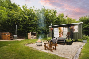 Red Deer Escape, Minehead